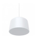 AXIS C1510 Network Pendant Speaker (02389-001)