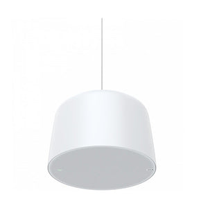 AXIS C1510 Network Pendant Speaker (02389-001)