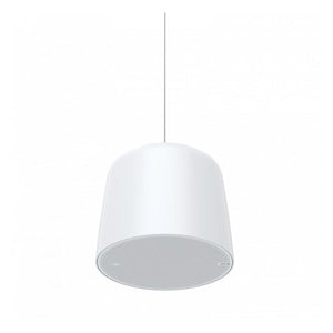 AXIS C1511 Network Pendant Speaker (02390-001)