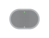 AXIS C1110-E White Network Cabinet Speaker (02695-001)