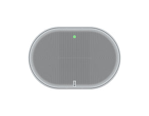 AXIS C1110-E White Network Cabinet Speaker (02695-001)