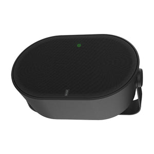 AXIS C1110-E Black Network Cabinet Speaker (02696-001)