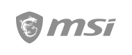 MSI